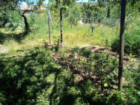 Le jardin se réveille doucement Le jardin se réveille doucement