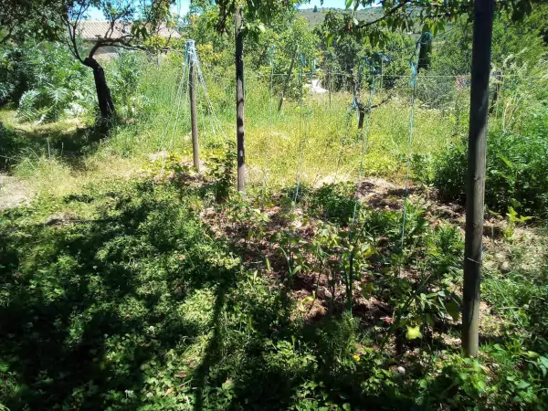 Le jardin se réveille doucement Le jardin se réveille doucement