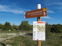 Randonnée au Cirque de Navacelles près des  chambres d’hôtes Lou Pastre